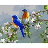 Kit pictura pe numere cu pasari, 40x50 cm, PPT329