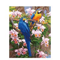 Kit pictura pe numere cu animale , 40x50 cm, PPT337
