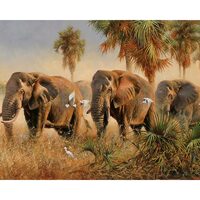 Kit pictura pe numere cu  animale, 40x50 cm, PPT347