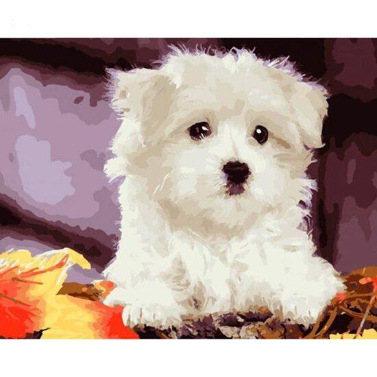 Kit pictura pe numere cu animale, 40x50 cm, PPT490
