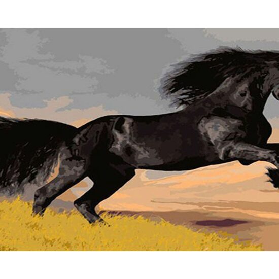 Kit pictura pe numere cu animale, 40x50 cm, PPT498