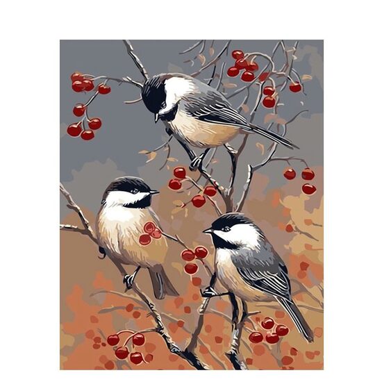 Kit pictura pe numere cu pasari, 40x50 cm, PPT554