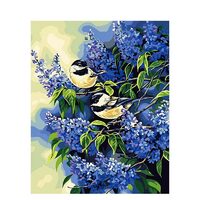 Kit pictura pe numere cu pasari, 40x50 cm, PPT673