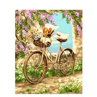 Kit pictura pe numere 40x50 cm, Bicicleta PPT813