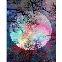 Kit pictura pe numere 40x50 cm, Moon PPT832