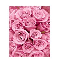 kit pictura pe numere cu flori 40x50 cm, PPT334