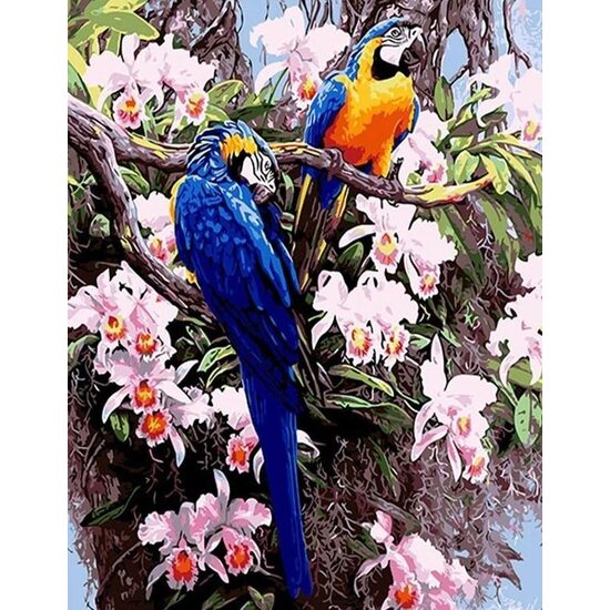 Kit pictura pe numere cu caricaturi, 40x50cm, PPT3153