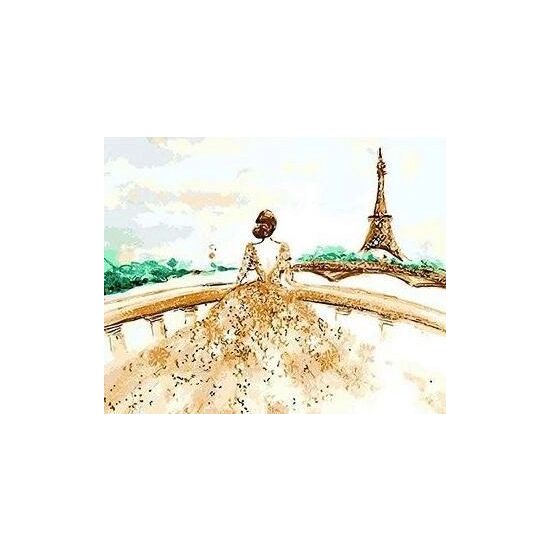 Kit pictura pe numere cu caricaturi, 40x50cm, PPT3179