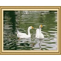 Kit pictura pe numere 40x50cm, PPT3213