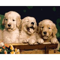 Kit pictura pe numere cu animale, 40x50cm, PPT3215
