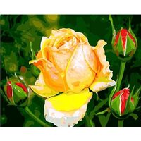 Kit pictura pe numere 40x50cm, PPT3216