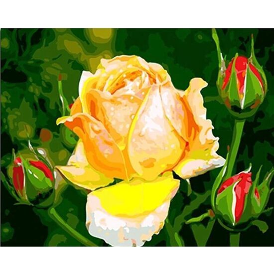Kit pictura pe numere 40x50cm, PPT3216