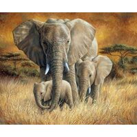 Kit pictura pe numere cu animale, 40x50cm, PPT3234