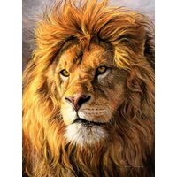 Kit pictura pe numere 40x50cm, PPT3237