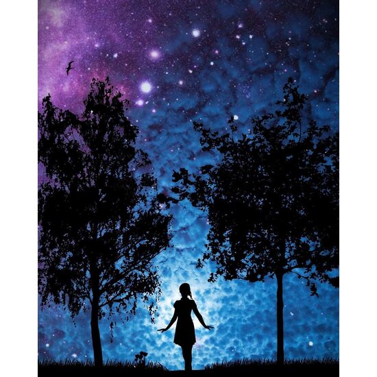 Kit pictura pe numere cu caricaturi, 40x50cm, PPT3251