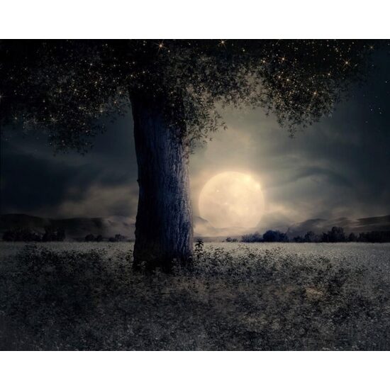 Kit pictura pe numere cu natura, 40x50cm, PPT3267
