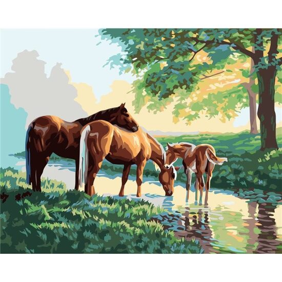 Kit pictura pe numere cu animale, 40x50cm, PPT3303