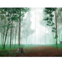 Kit pictura pe numere 40x50cm, PPT3313