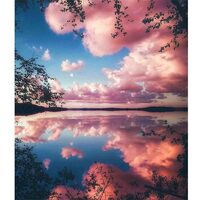 Kit pictura pe numere cu natura, 40x50cm, PPT3318