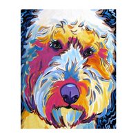 Kit pictura pe numere 40x50cm, PPT3455