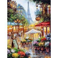 Kit pictura pe numere  40x50cm, PPT3460