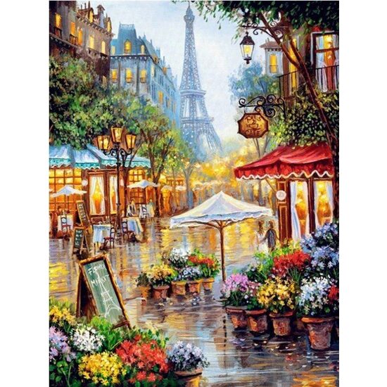 Kit pictura pe numere  40x50cm, PPT3460