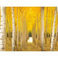 Kit pictura pe numere cu peisaj, 40x50cm, PPT3774