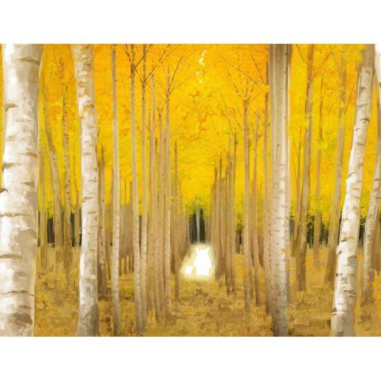 Kit pictura pe numere cu peisaj, 40x50cm, PPT3774