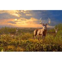 Kit pictura pe numere cu animale, 40x50cm, PPT3638