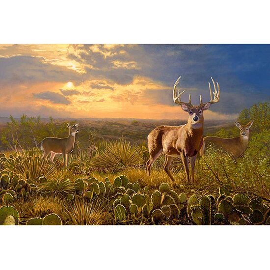 Kit pictura pe numere cu animale, 40x50cm, PPT3638