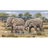 Kit pictura pe numere cu animale, 40x50cm, PPT3639