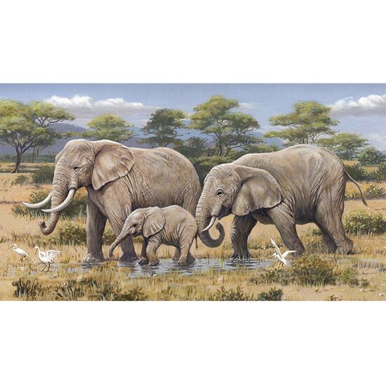 Kit pictura pe numere cu animale, 40x50cm, PPT3639