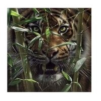 Kit pictura pe numere 40x50cm, PPT3371