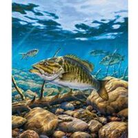 Kit pictura pe numere cu pesti, 40x50cm, PPT3380