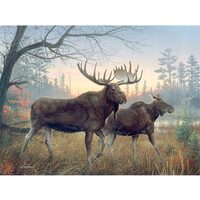 Kit pictura pe numere cu animale, 40x50cm, PPT3382