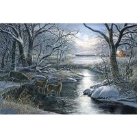 Kit pictura pe numere 40x50cm, PPT3384