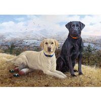 Kit pictura pe numere cu animale, 40x50cm, PPT3385