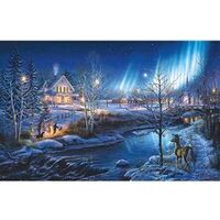 Kit pictura pe numere 40x50cm, PPT3388