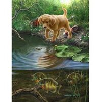 Kit pictura pe numere cu animale, 40x50cm, PPT3389