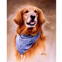 Kit pictura pe numere cu animale, 40x50cm, PPT3391