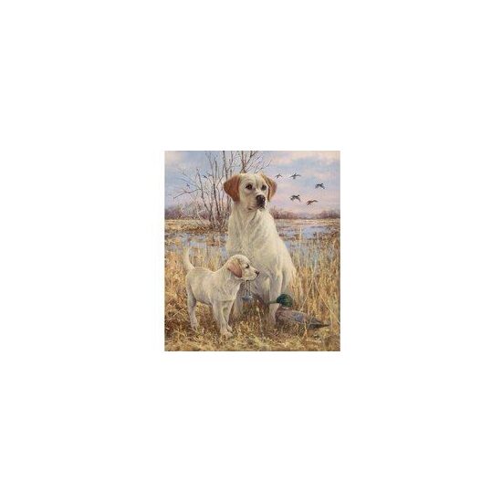 Kit pictura pe numere cu animale, 40x50cm, PPT3392