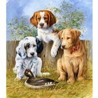 Kit pictura pe numere 40x50cm, PPT3393