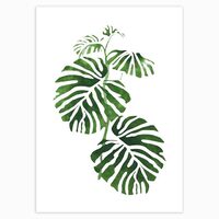Kit pictura pe numere 40x50cm, PPT3517