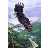 Kit pictura pe numere cu pasari, 40x50cm, PPT3533