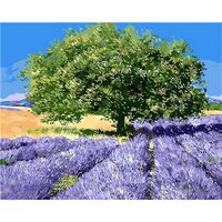 Kit pictura pe numere  cu natura, 40x50cm, PPT3535