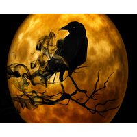Kit pictura pe numere 40x50cm, PPT3601