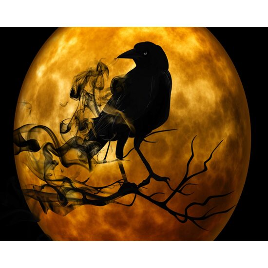 Kit pictura pe numere 40x50cm, PPT3601