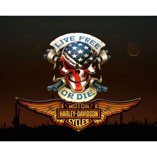 Kit pictura pe numere 40x50cm, PPT3712