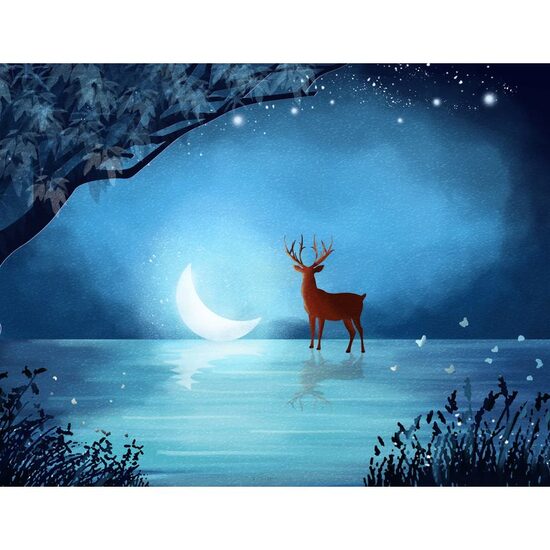 Kit pictura pe numere 40x50cm, PPT3770