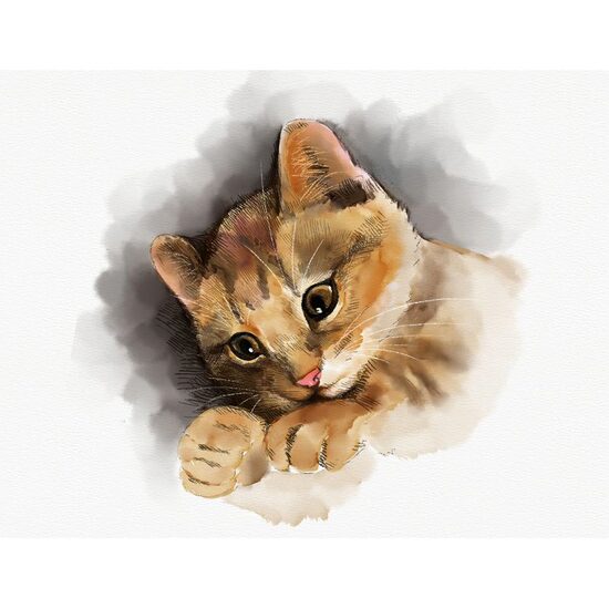 Kit pictura pe numere 40x50cm, PPT3779
